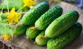 nceng656吃瓜网,揭秘娱乐圈幕后故事，带你领略明星真实生活