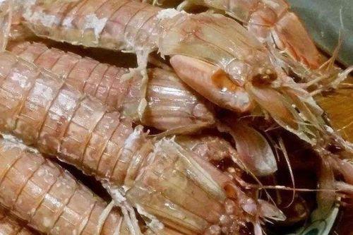 皮皮虾网红吃瓜视频大全