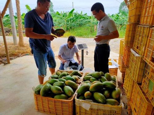 我只想安静吃瓜书包网