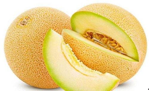 网红鹅喜欢吃哈密瓜,哈密瓜美食之旅